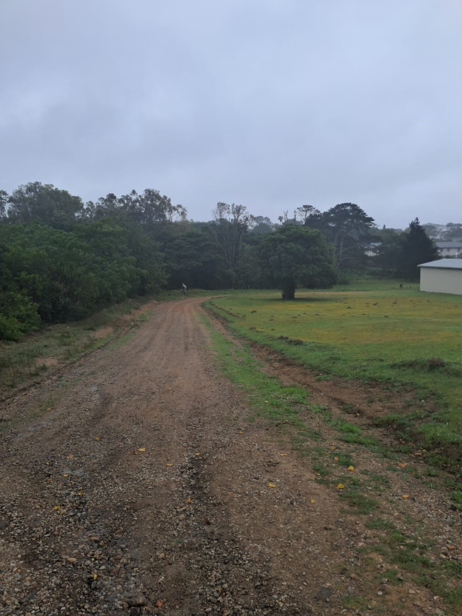 0 Bedroom Property for Sale in Alexandria Eastern Cape